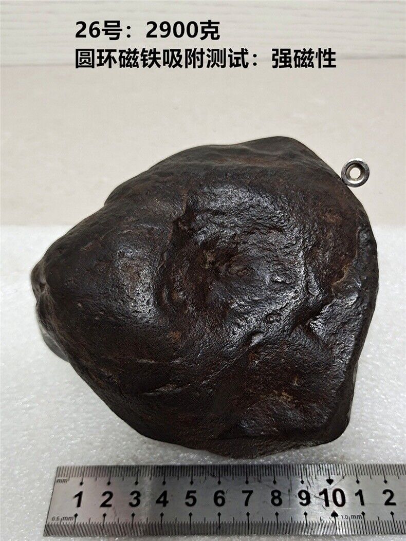 2900g Natural Iron Meteorite Specimen from   China   26#