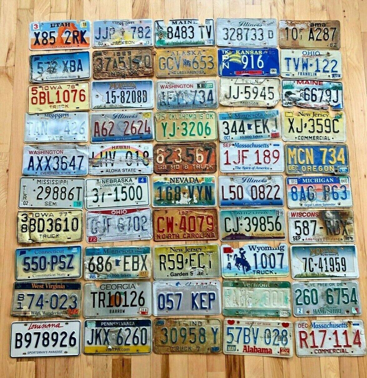 50 Roadkill Condition License Plates from at least 30 Different States