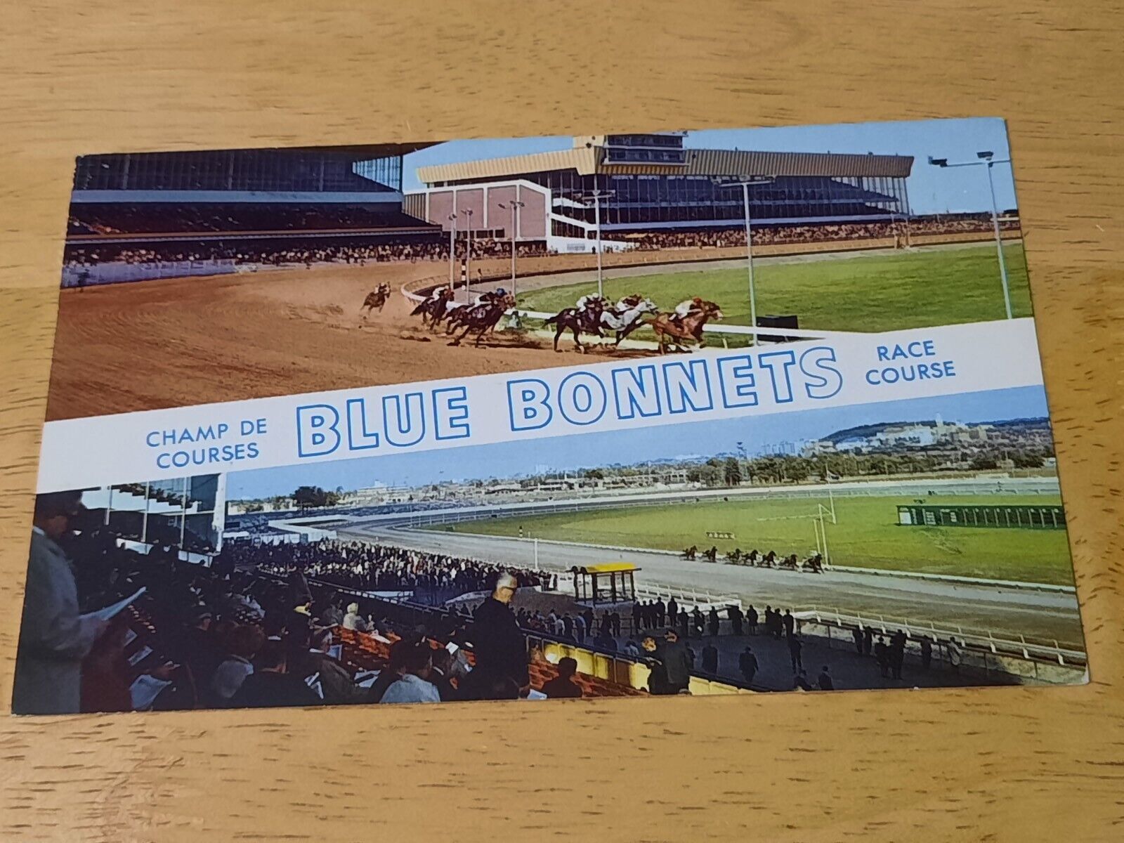 Blue Bonnets Horse Race Course Montreal Canada Stamped Vintage Postcard