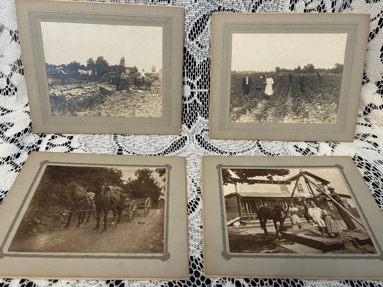 4 OLD ANTIQUE 1900\'S FARMING PICTURES 2)MARKED FELIX W. MIKOLAJCRAK NANTICOKE PA