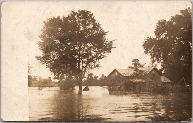 1911 TAYLOR, Minnesota Disaster Photo RPPC Postcard FLOOD SCENE House & Trees