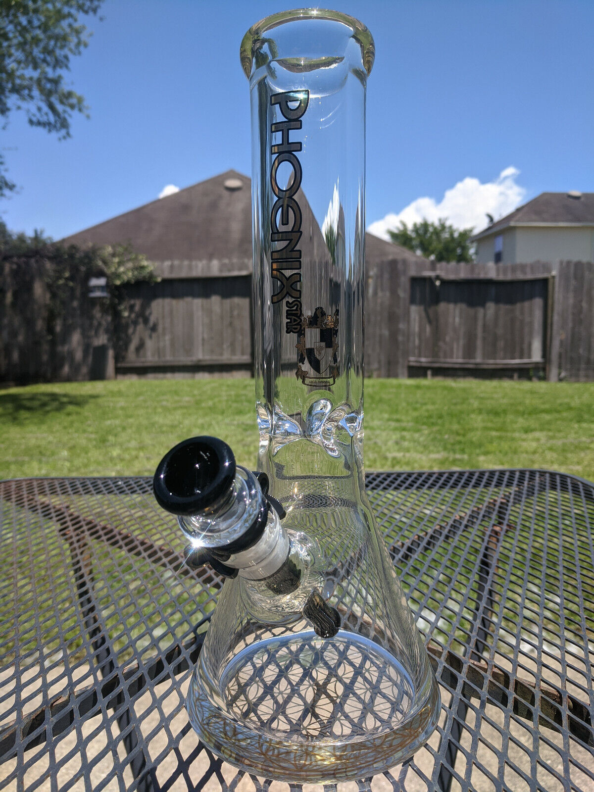 Extra Durable (9mm) Glass Beaker Water Pipe Bong Phoenix - 12\