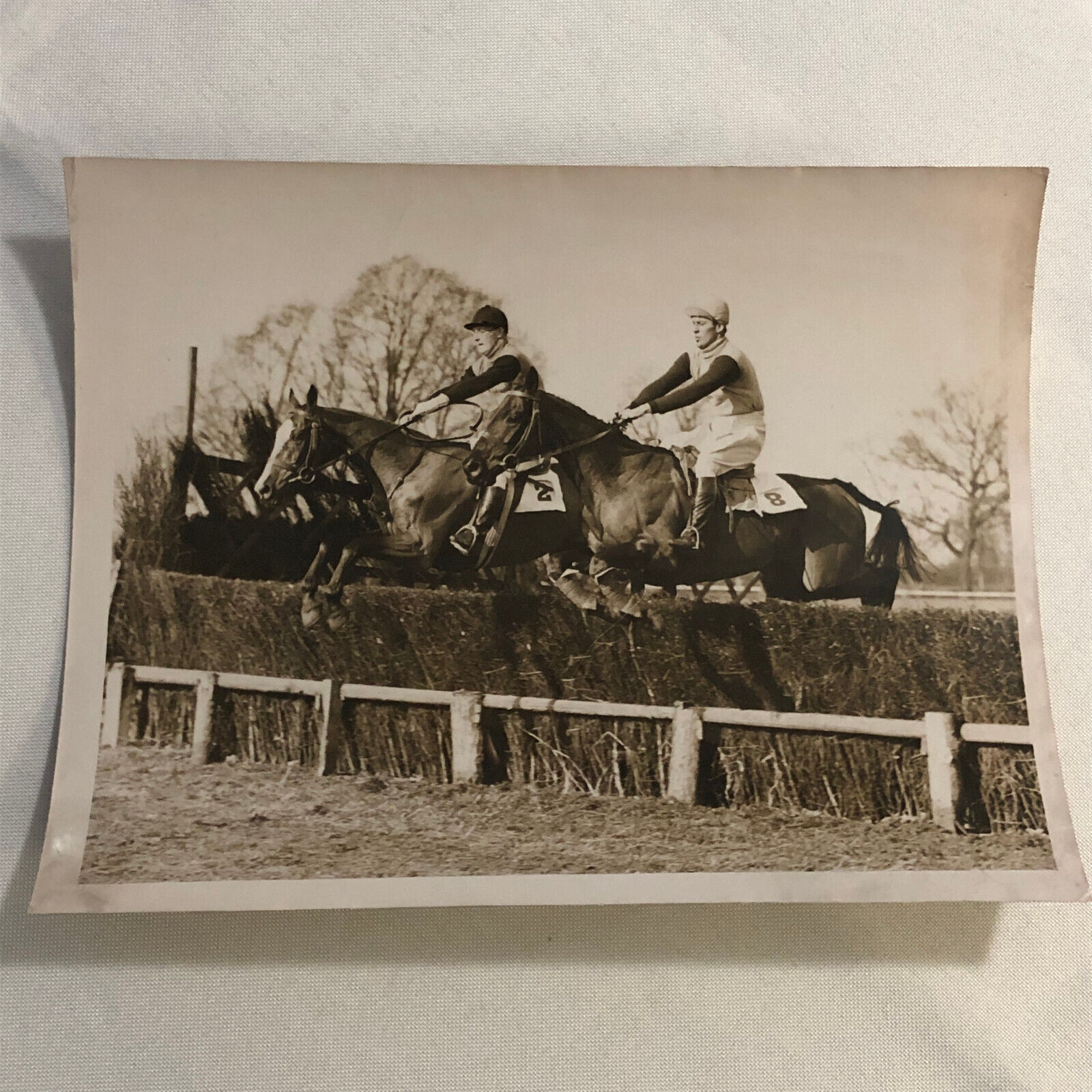 Press Photo Photograph Cambridge University Steeplechase Horse Race 1933 racing