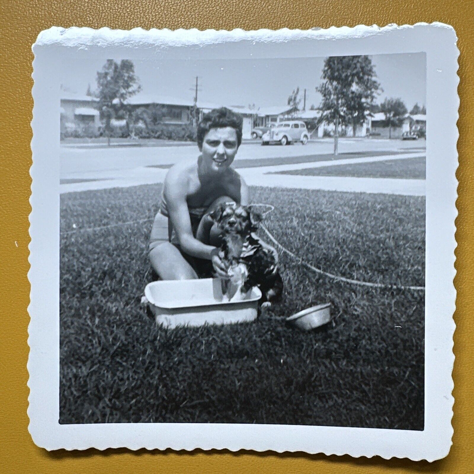 1950s Period girl giving dog a Bath VINTAGE PHOTO snapshot Vernacular