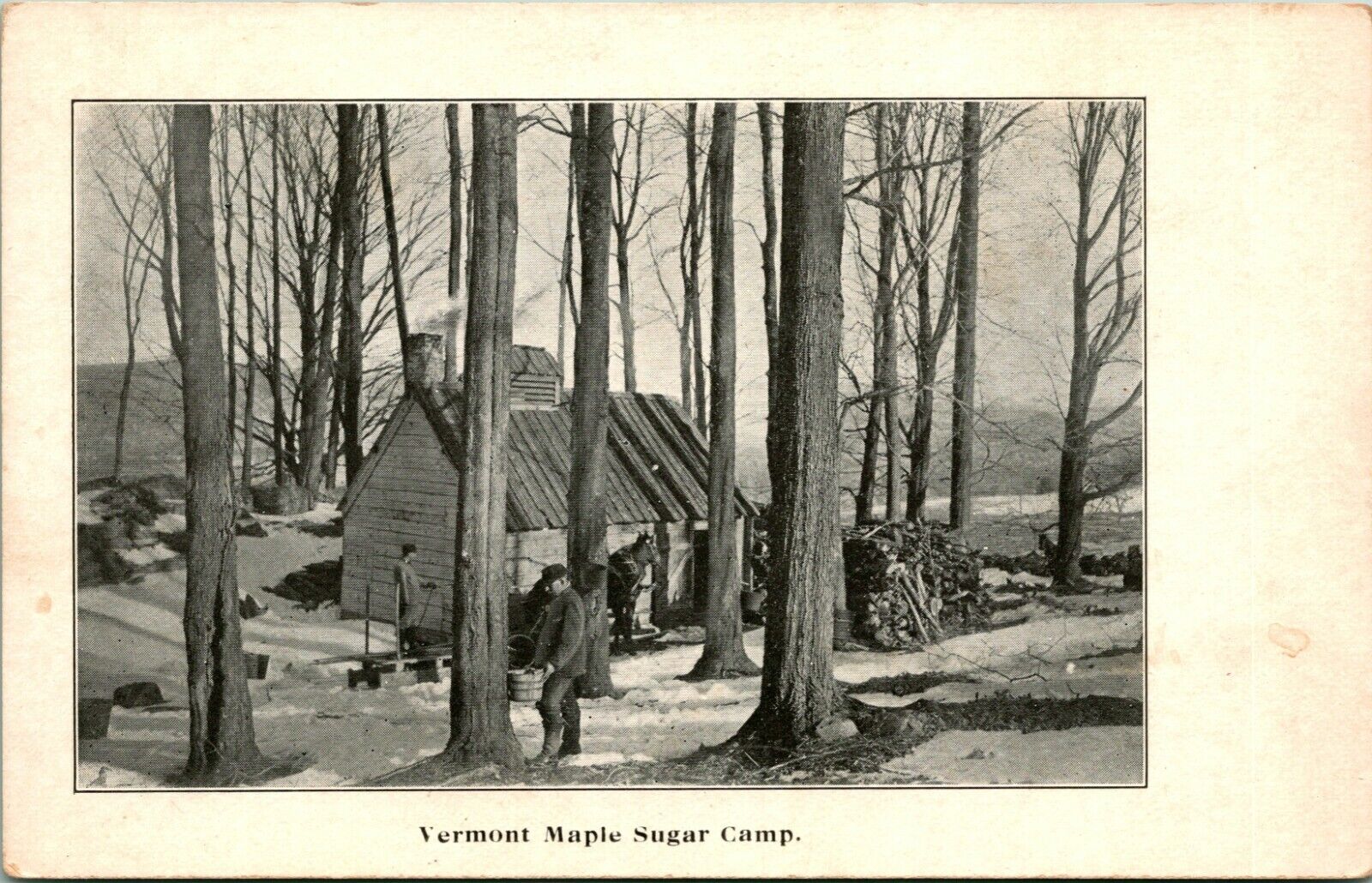 Vermont Maple Sugar Camp - Cabin Trees Snow UNP Unused UDB Postcard T10
