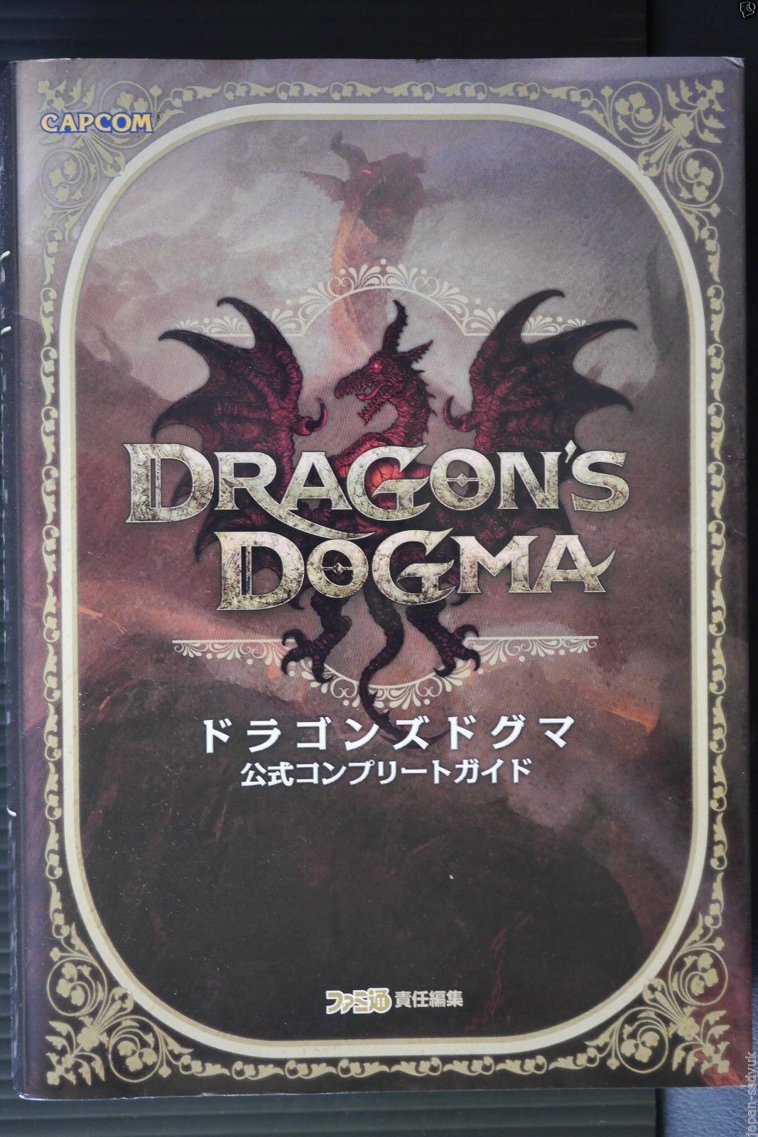 Dragon's Dogma Official Complete Guide - Japan Import