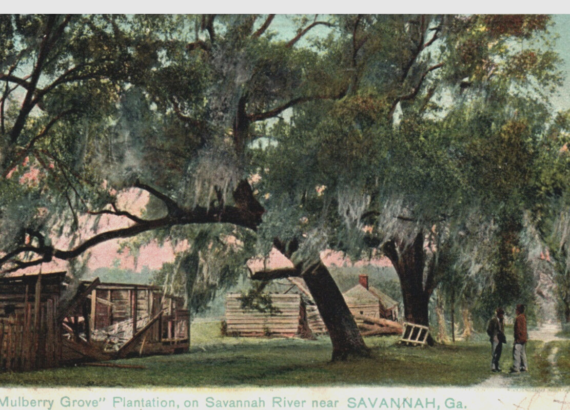 Savannah River Georgia Mulberry Plantation Postcard Rafael Tuck