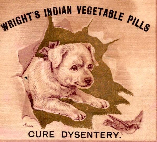 1880\'s WRIGHT\'S INDIAN PILLS CURE DYSENTERY DOG PUPPY CHASES BIRD TRADE CARD