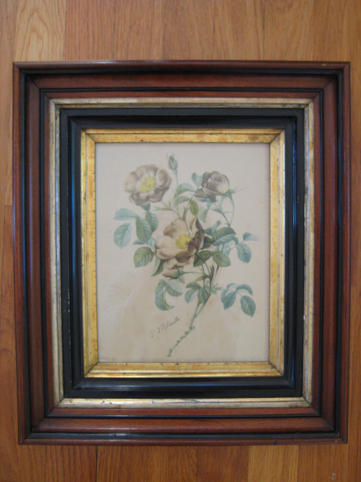 antique Pierre Redoute Les Roses signed PRINT white flower vtg wood gold frame