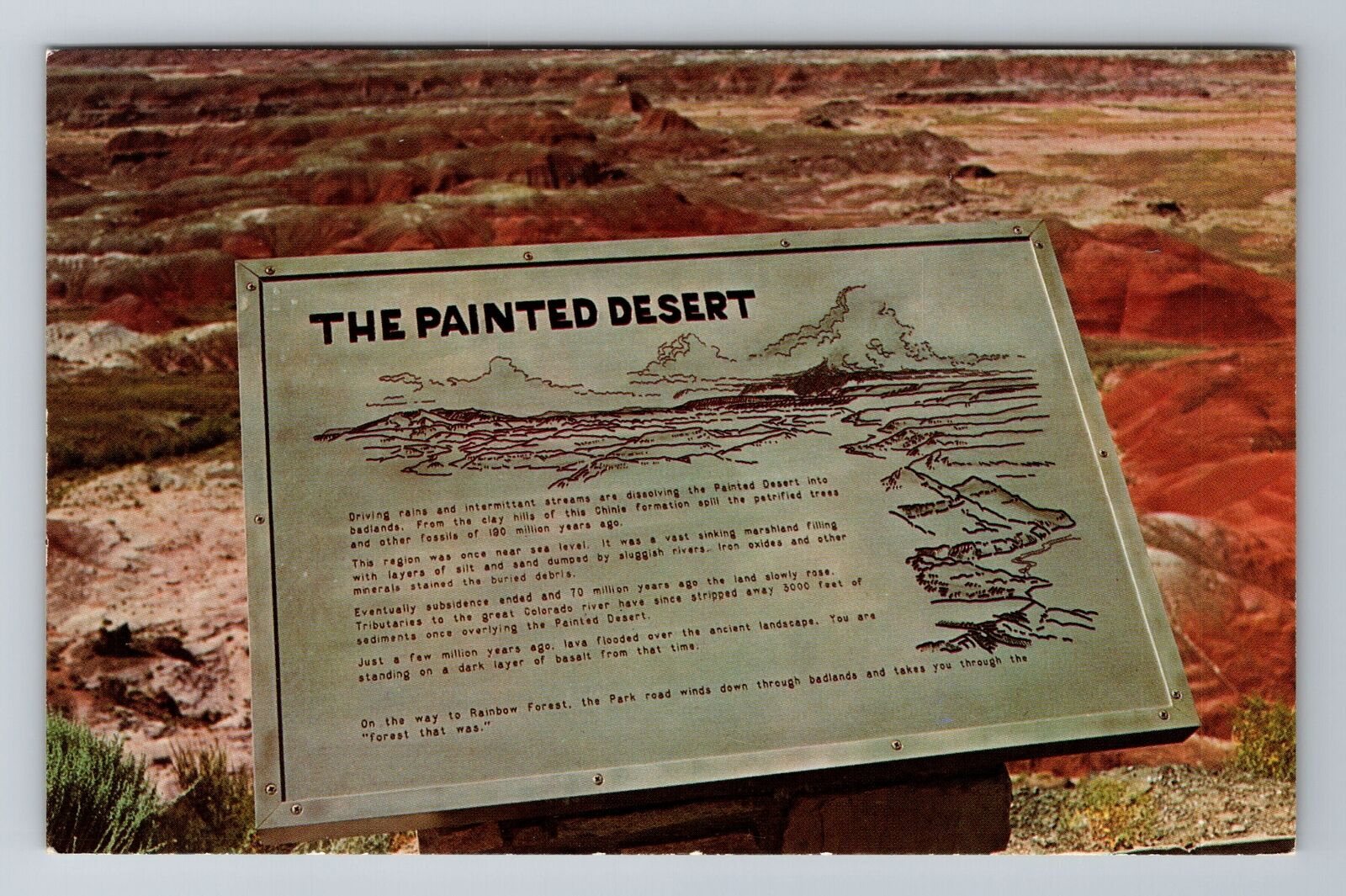 AZ-Arizona, The Painted Desert, Sign, Antique, Vintage Souvenir Postcard