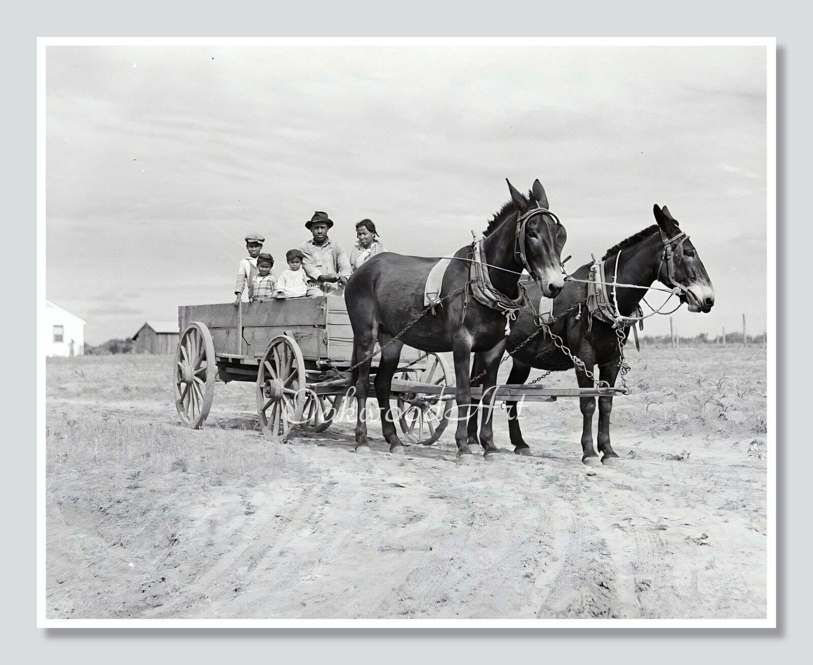 1930s Black Family in Mule-Drawn Wagon, Vintage Photo Reprint