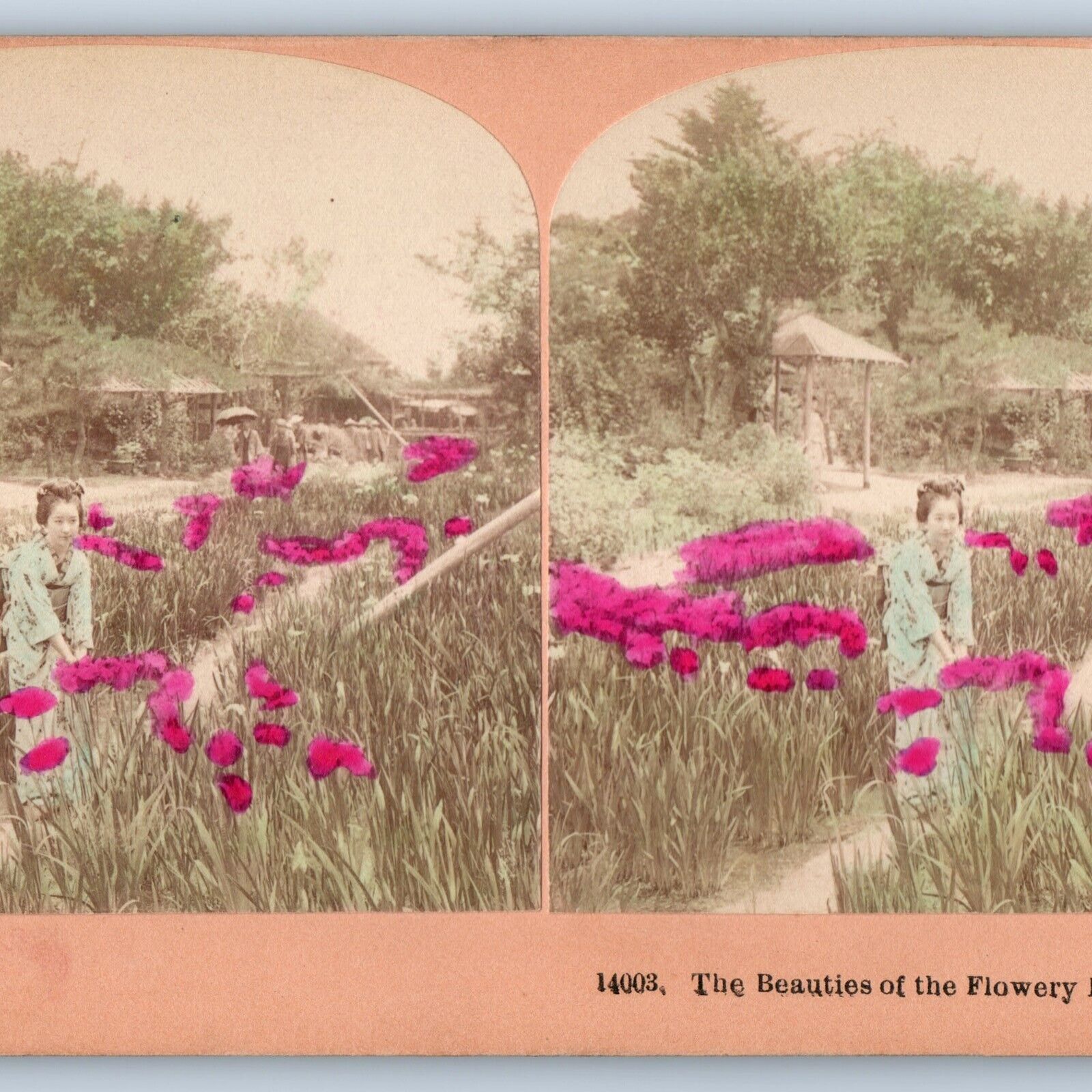 1901 Japan Beauties of Flowery Kingdom Stereoview Hand Colored Photo Geisha V29