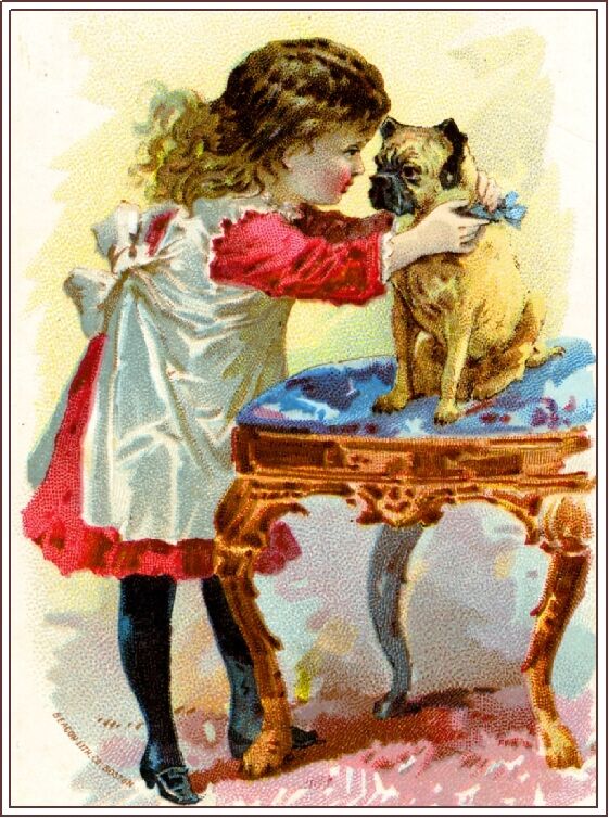  Beautiful Child & Pug Dog #2 Victorian Trade Card Poster Print Advertisement