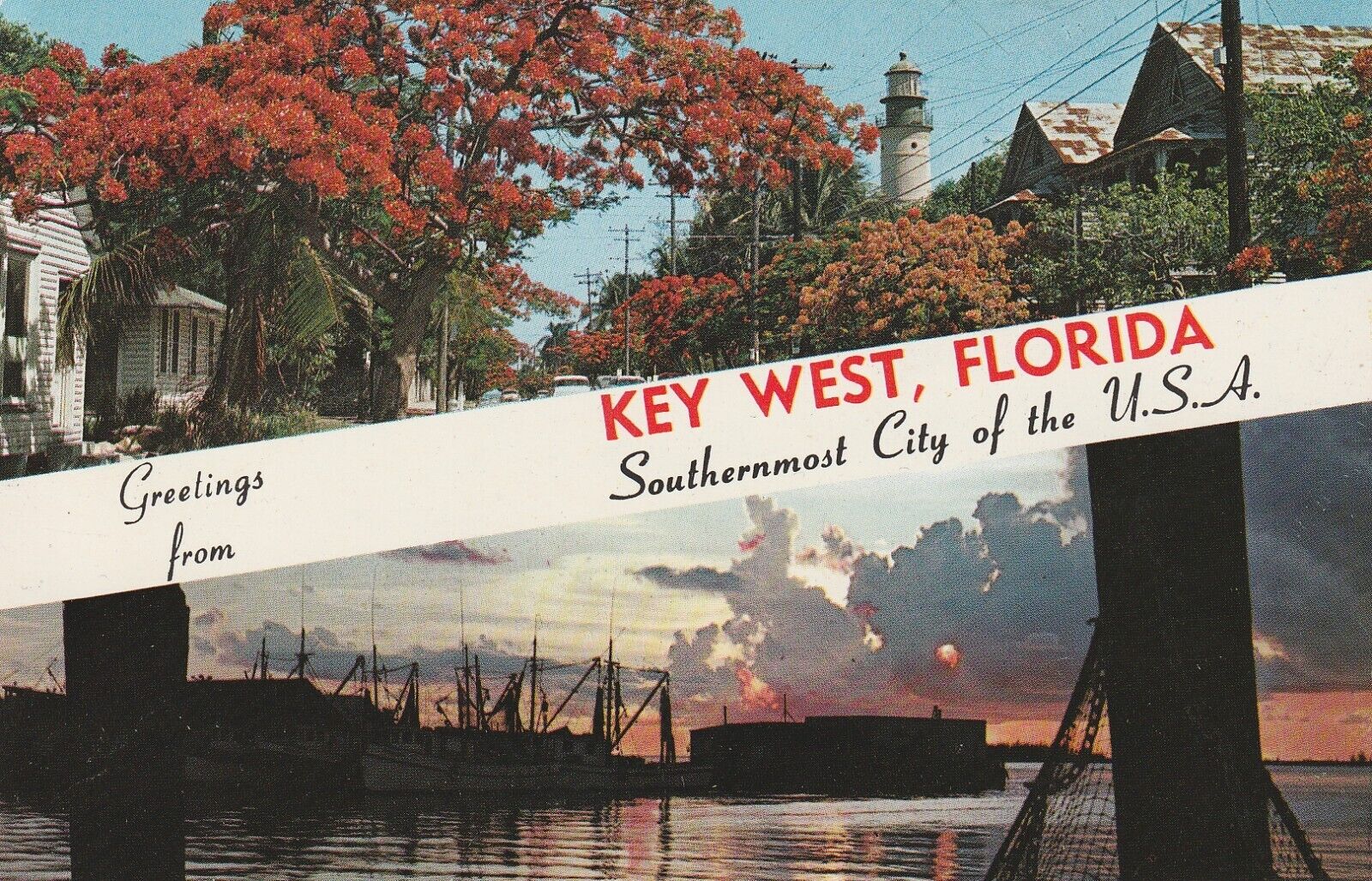 Vintage Postcard Key West Florida Trees Boats Photograph Posted