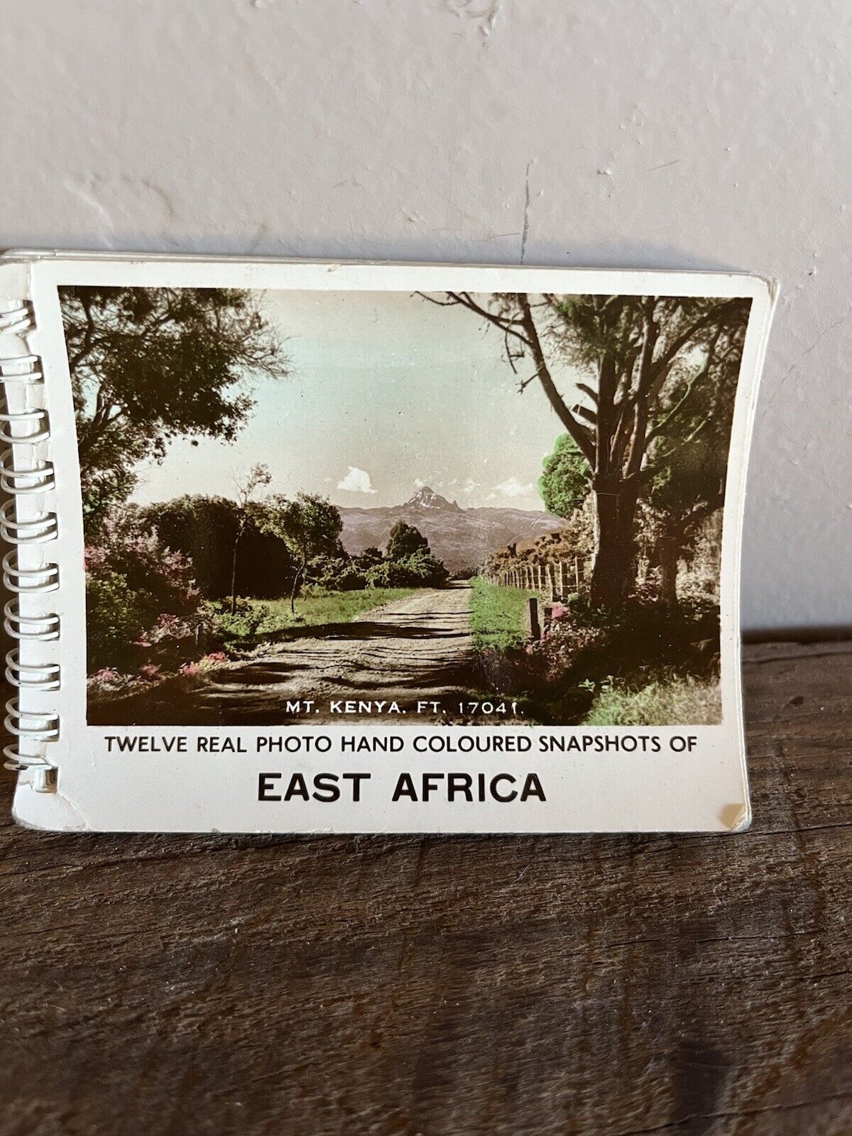 Vintage East Africa Souvenir Hand colored Snapshot Photograph Booklet