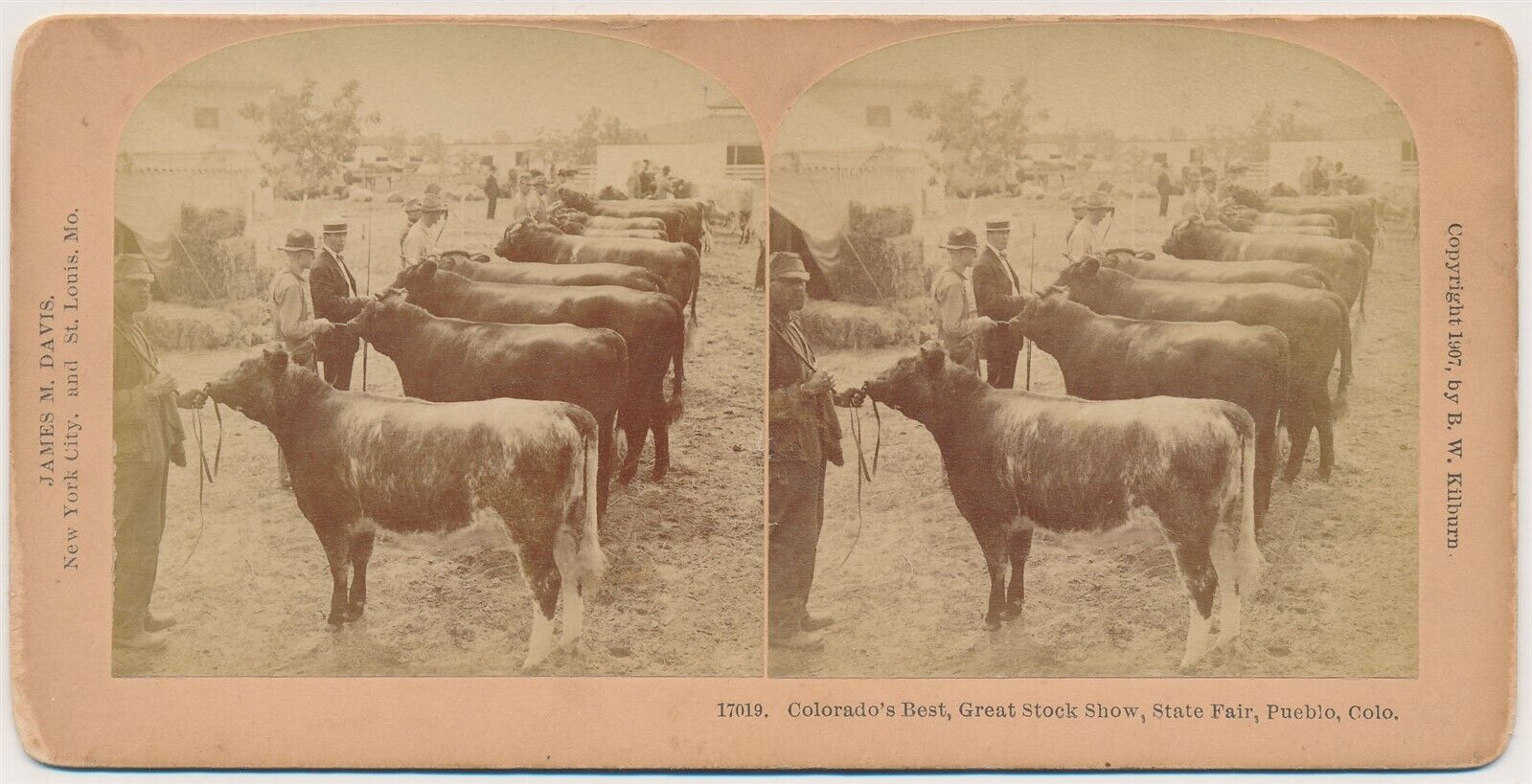 COLORADO SV - Pueblo - Great Stock Show - BW Kilburn c1907