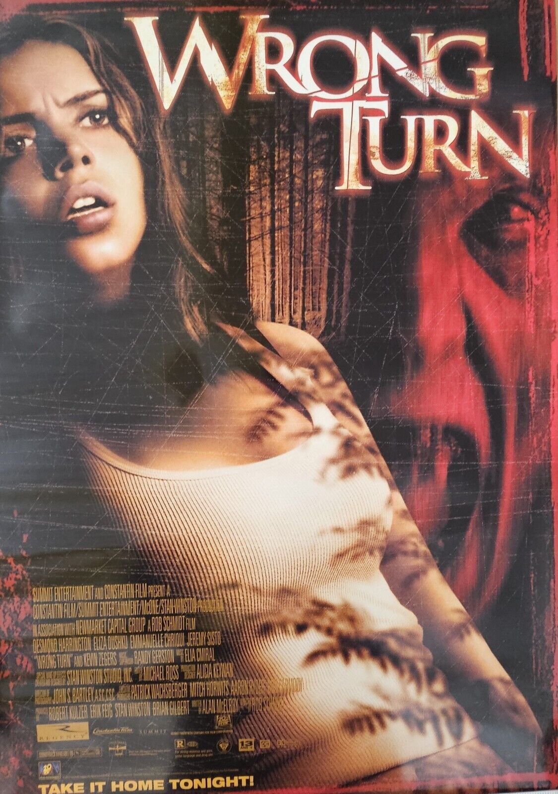 The Stunning Eliza Dushku In Wrong Turn  27 x 40  DVD movie poster