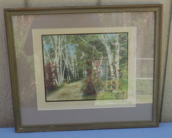NICE FRAMED AND MATTED HANDCOLORED PHOTO INTO THE BIRCHWOOD BY WALLACE NUTTING
