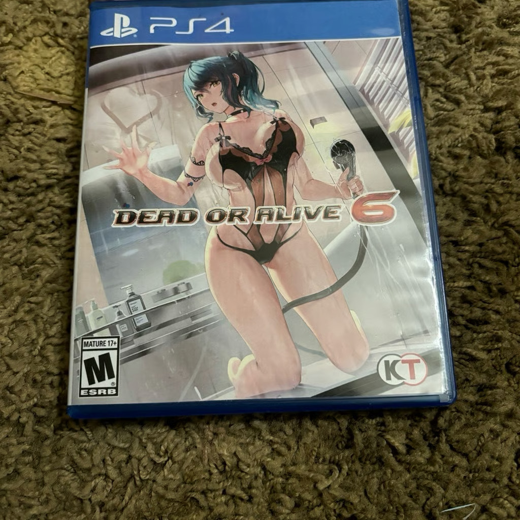 COVER ONLY NO GAME NO BOX  DEAD OR ALIVE 6 PS4