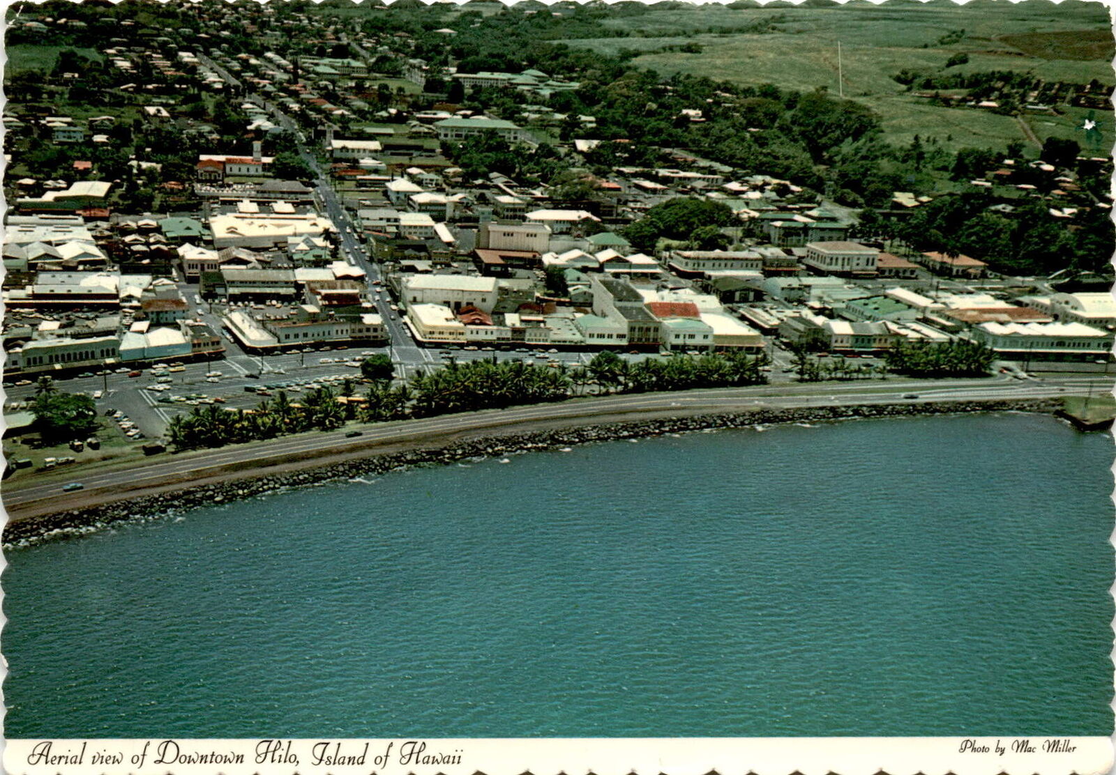 Downtown Hilo, Island of Hawaii, Mac Miller De Girls, vibrant business Postcard