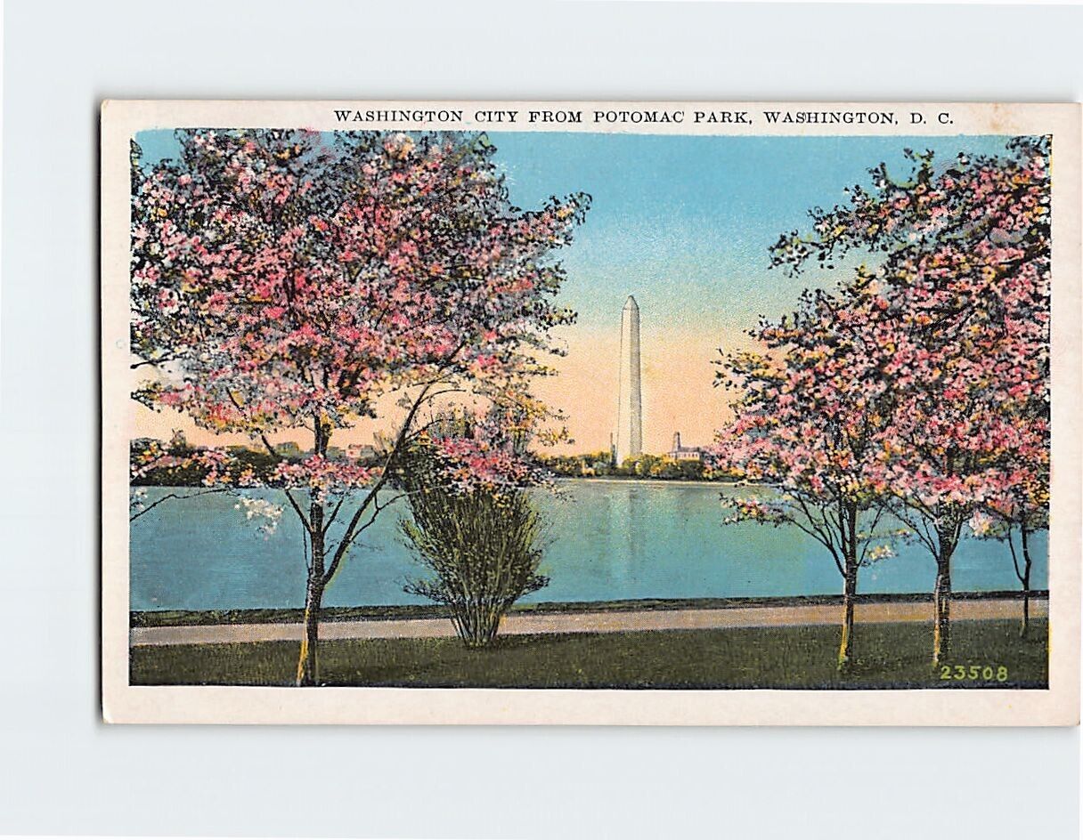 Postcard The View of Washington Monument Washington DC
