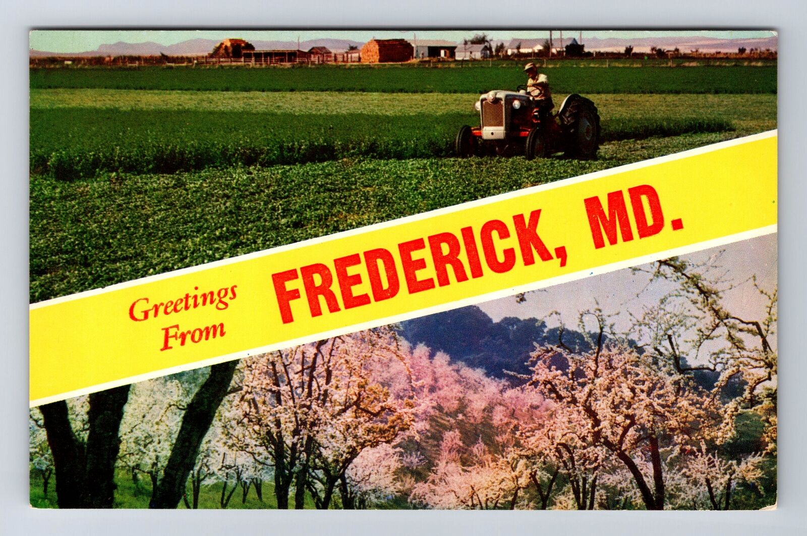 Frederick MD-Maryland, Scenic Banner Greetings Antique Souvenir Vintage Postcard