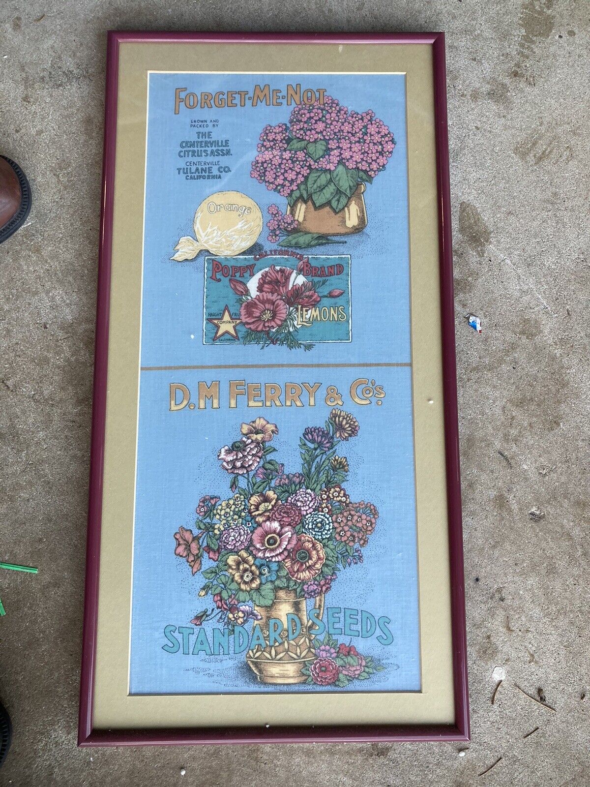 Framed matted Fabric 26x13” Ferry Seed Co advertisement