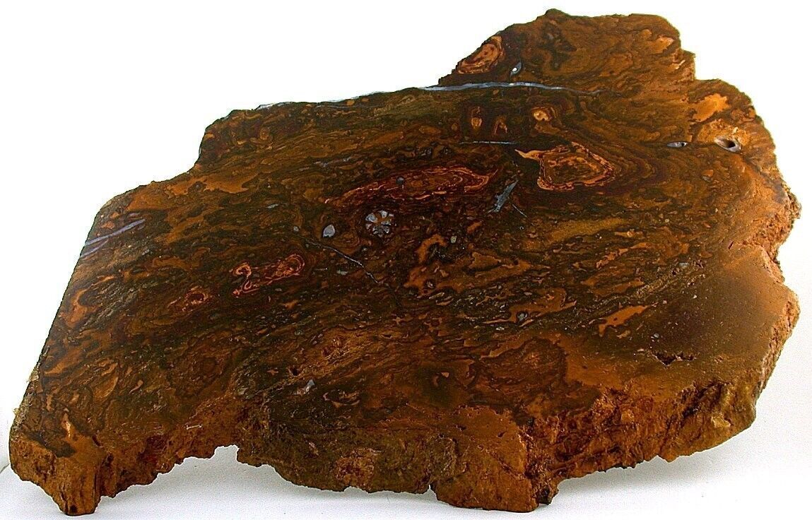 525 Gram Austrailian Opal Seam Wood Pattern Ironstone Cab Specimen Rough US34A