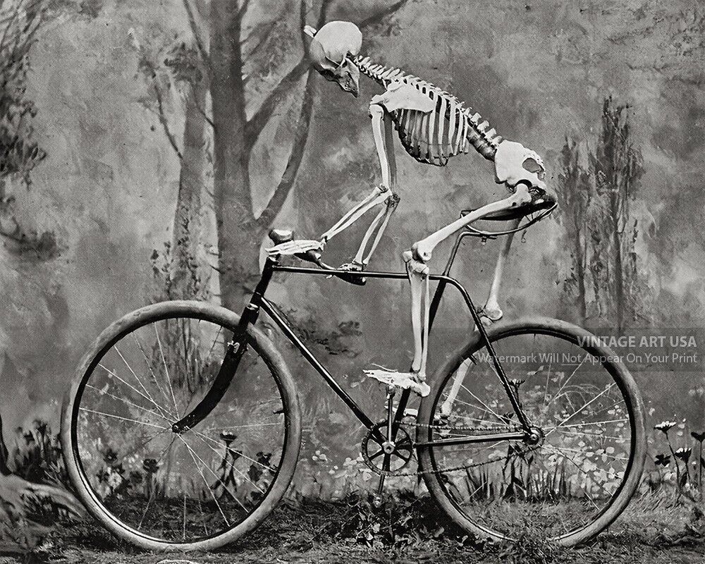 Skeleton Riding Bicycle 1890s Photo - Gothic Art Halloween - Bizarre Odd Strange