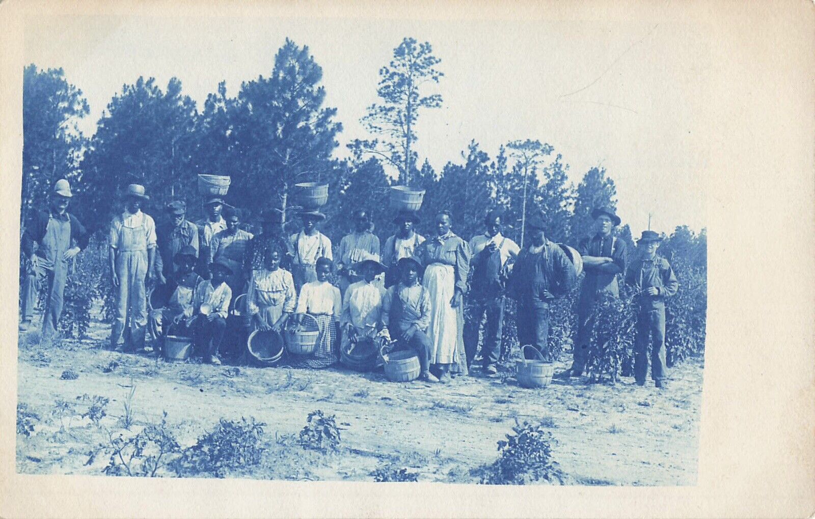 Rare RPPC Cyanotype Black Americana Farm Workers Indentured? photo postcard real