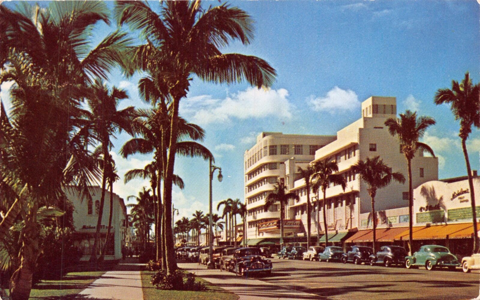 MIAMI BEACH FLORIDA  PALM STUDDED LINCOLN ROAD FASHIONABLE SHOPS POSTCARD 1950s