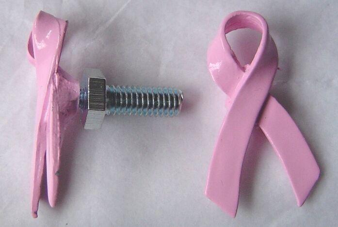 Breast Cancer Awareness pink ribbon license plate bolts