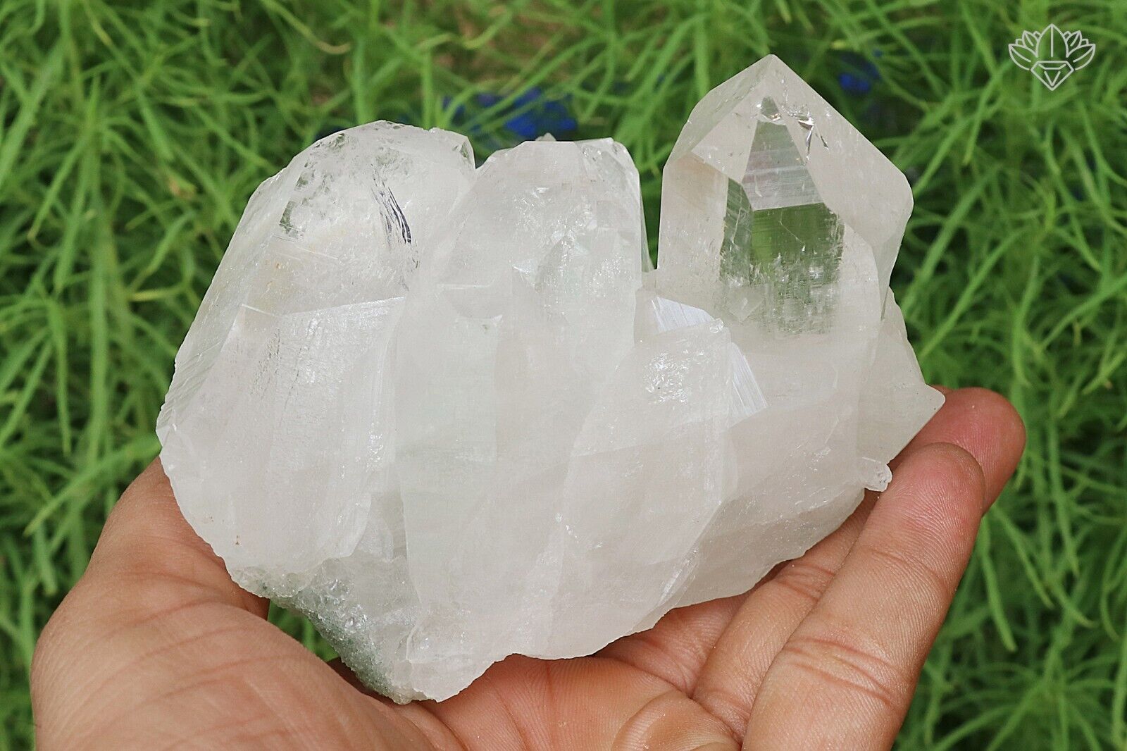 Clear White Himalayan Samadhi Quartz Cluster 560gm Healing Minerals Raw Specimen