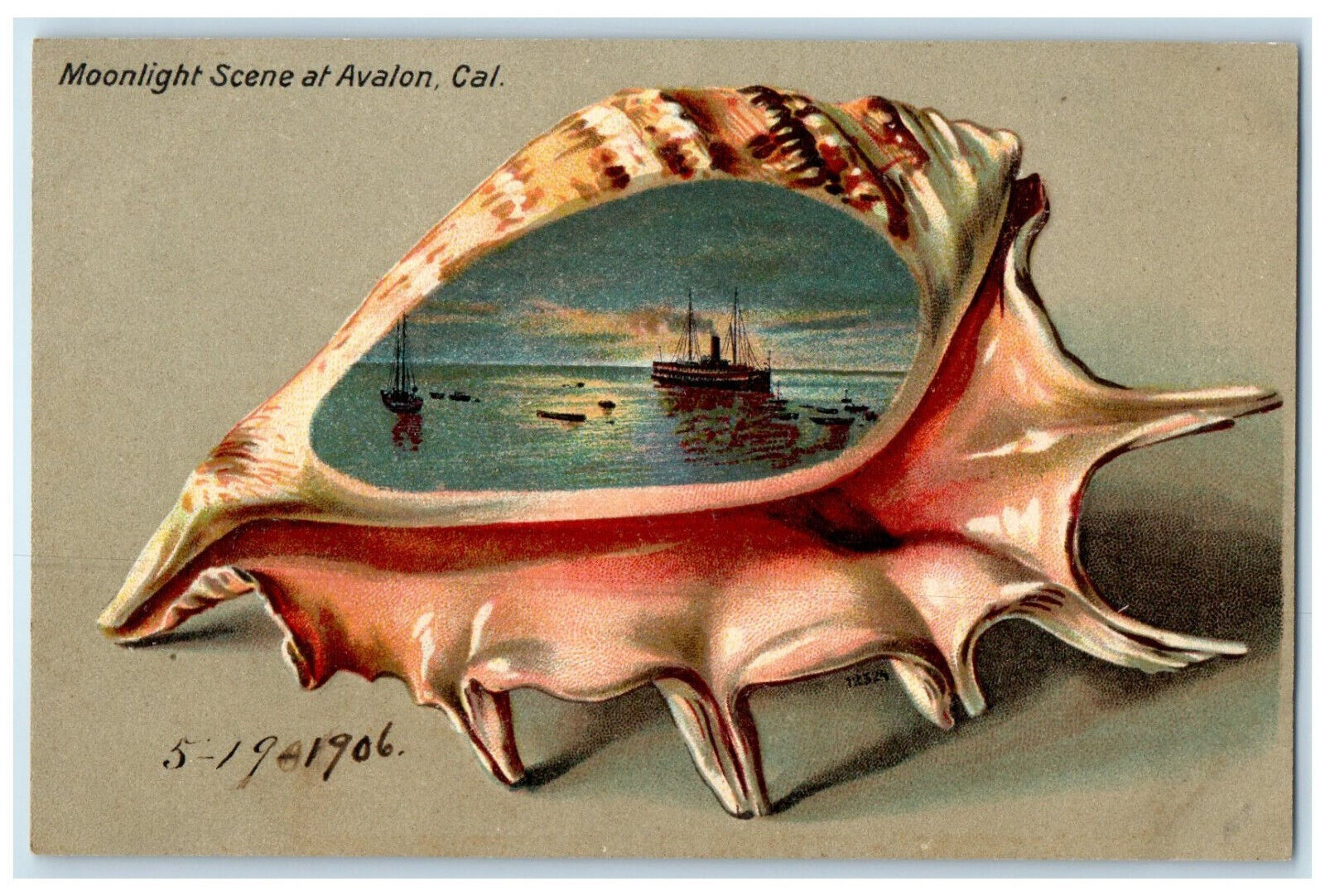 1906 Big Shell Moonlight Scene at Avalon California CA Antique Embossed Postcard