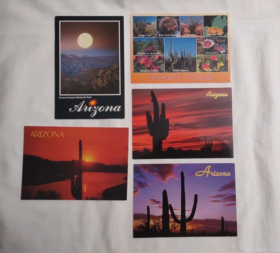 Vintage Lot Of 5 Arizona Landscapes Postcards Sunsets Dessert Cactus 