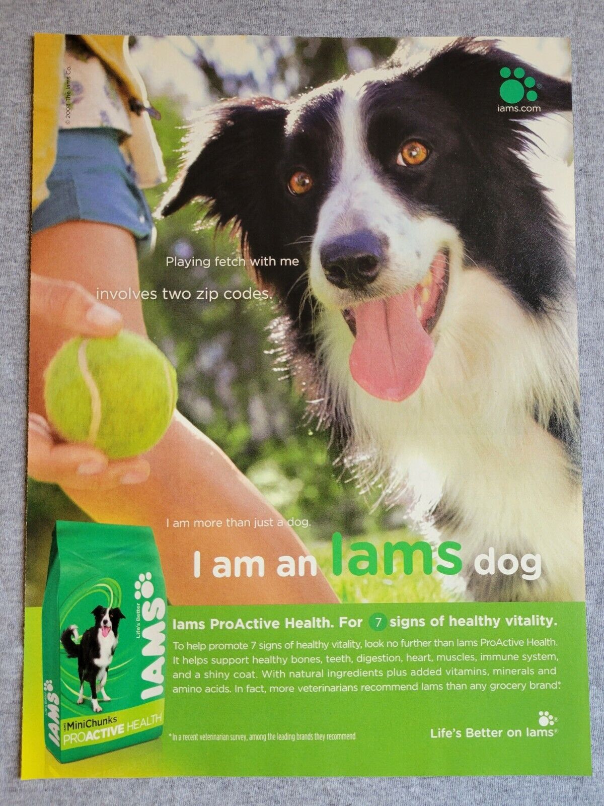 2008 Magazine Advertisement Page Iams ProActive Mini Chunks Dog Food Print Ad