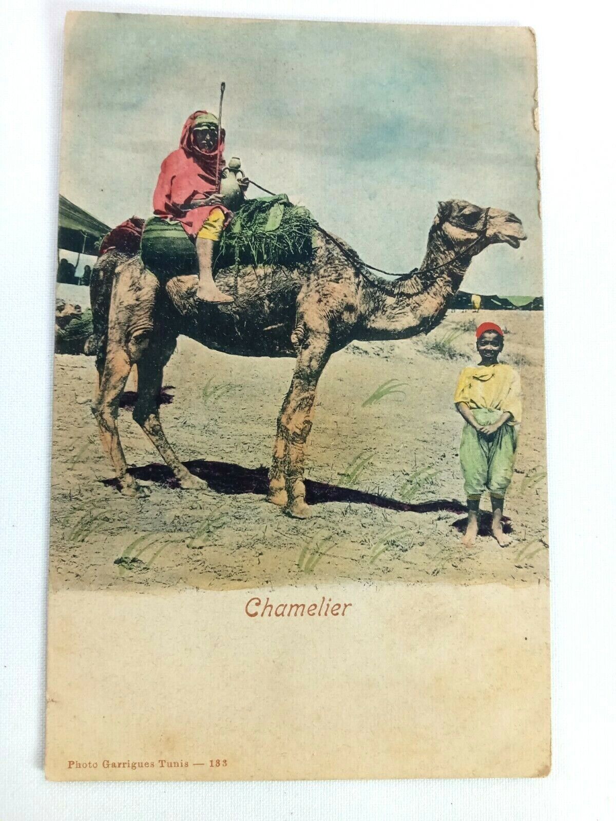 Vintage Postcard Chamelier Boys on Camel Rider in Desert