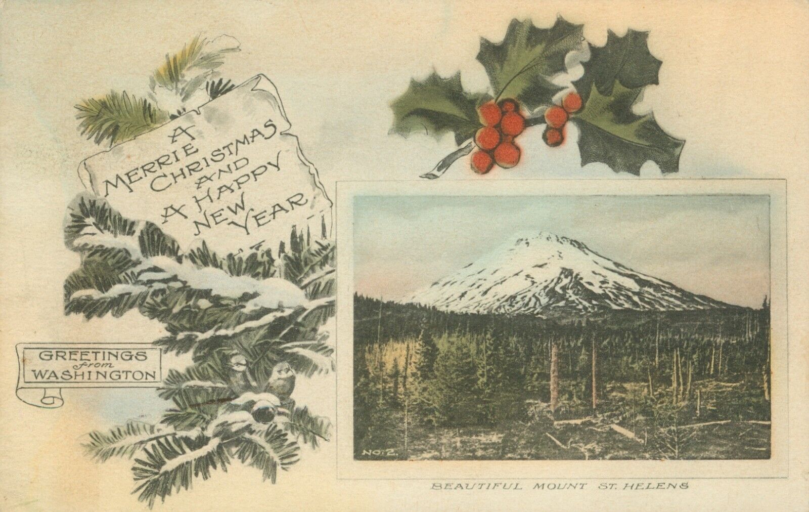 Vintage Mount St. Helens Christmas  Washington Wesley Andrews Postcard