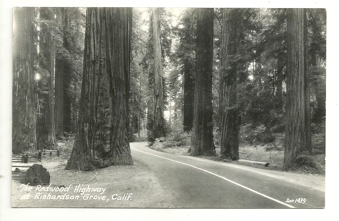 Postcard CA Redwood Highway at Richardson Grove RPPC Vintage Tree California