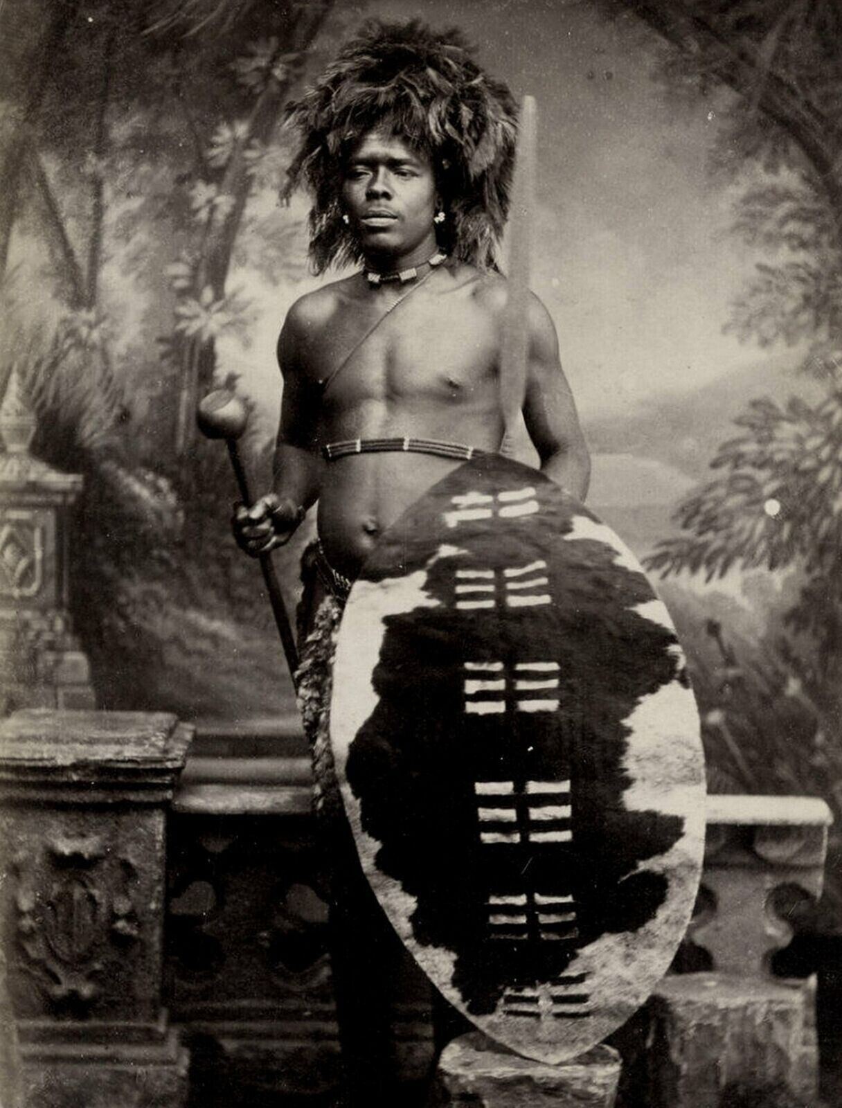 1880s ZULU WARRIOR African Tribes Man with Shield Classic Picture Photo 5x7