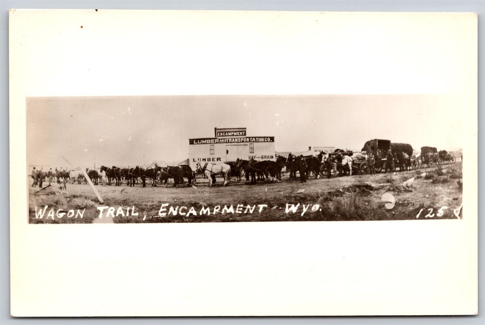 Postcard Wagon Trail, Encampment, Wyoming Lumber & Transportation Co RPPC B62