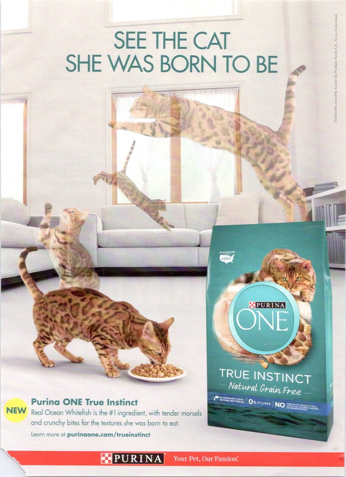 2018 Purina One Cat Food Print Ad See The Cat She Was Born To BE
