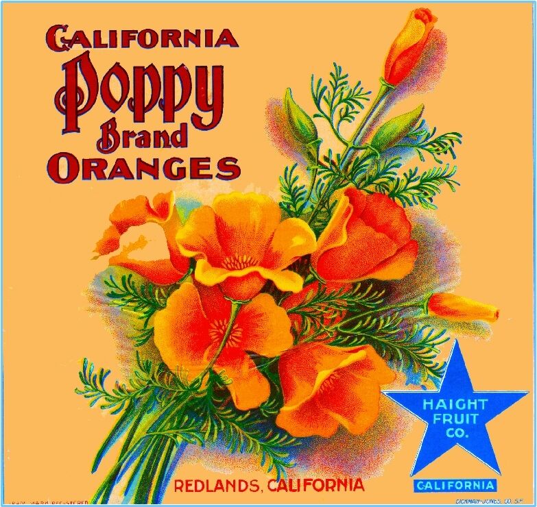 Redlands California Poppy #1 Orange Citrus Fruit Crate Label Vintage Art Print