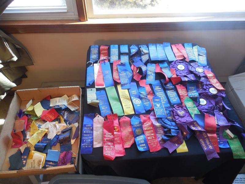 Huge Lot 1930s 1940s State Fair Prize Premium Ribbons Badges Poultry Mostly NJ