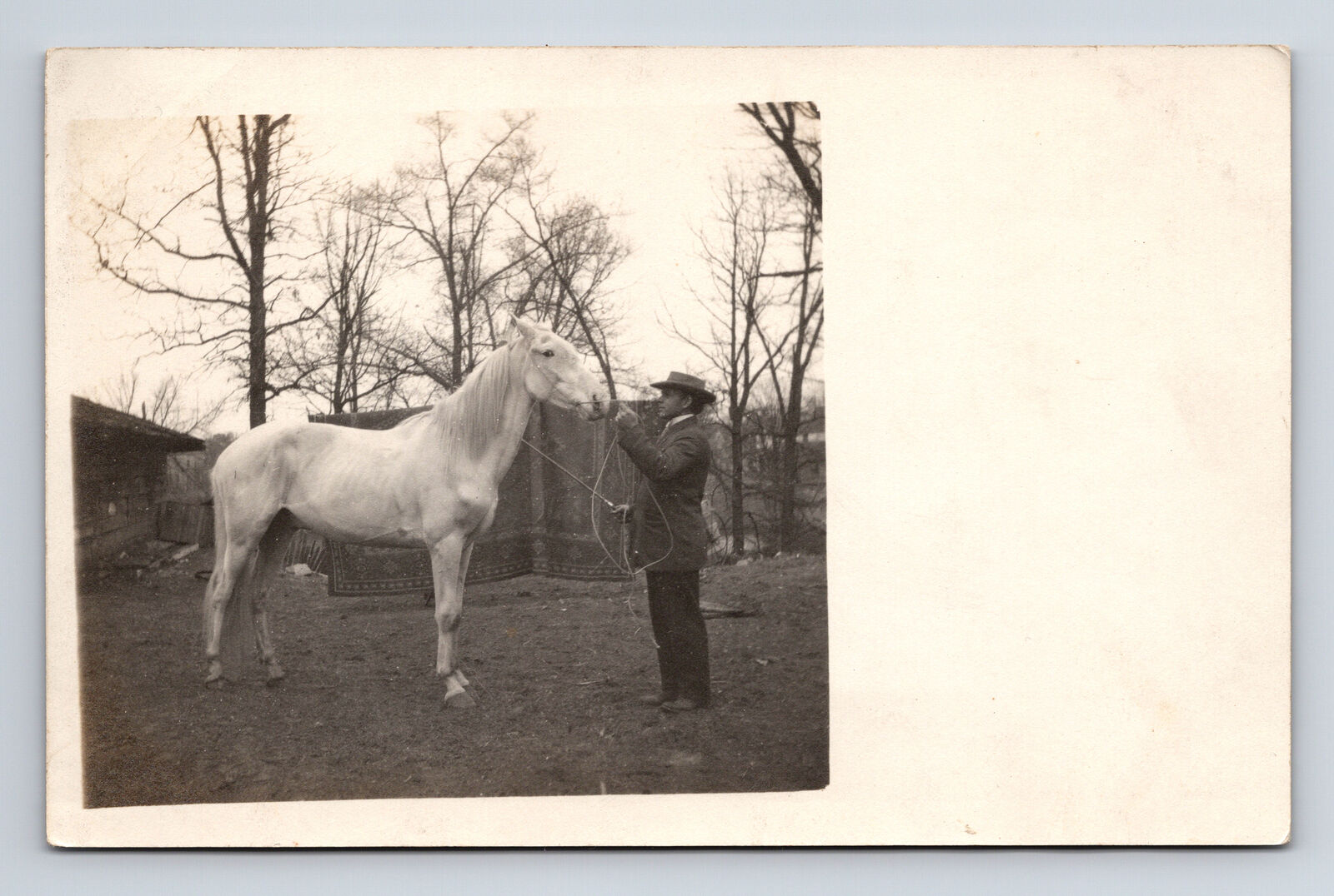 RPPC Man With White Horse Real Photo Postcard