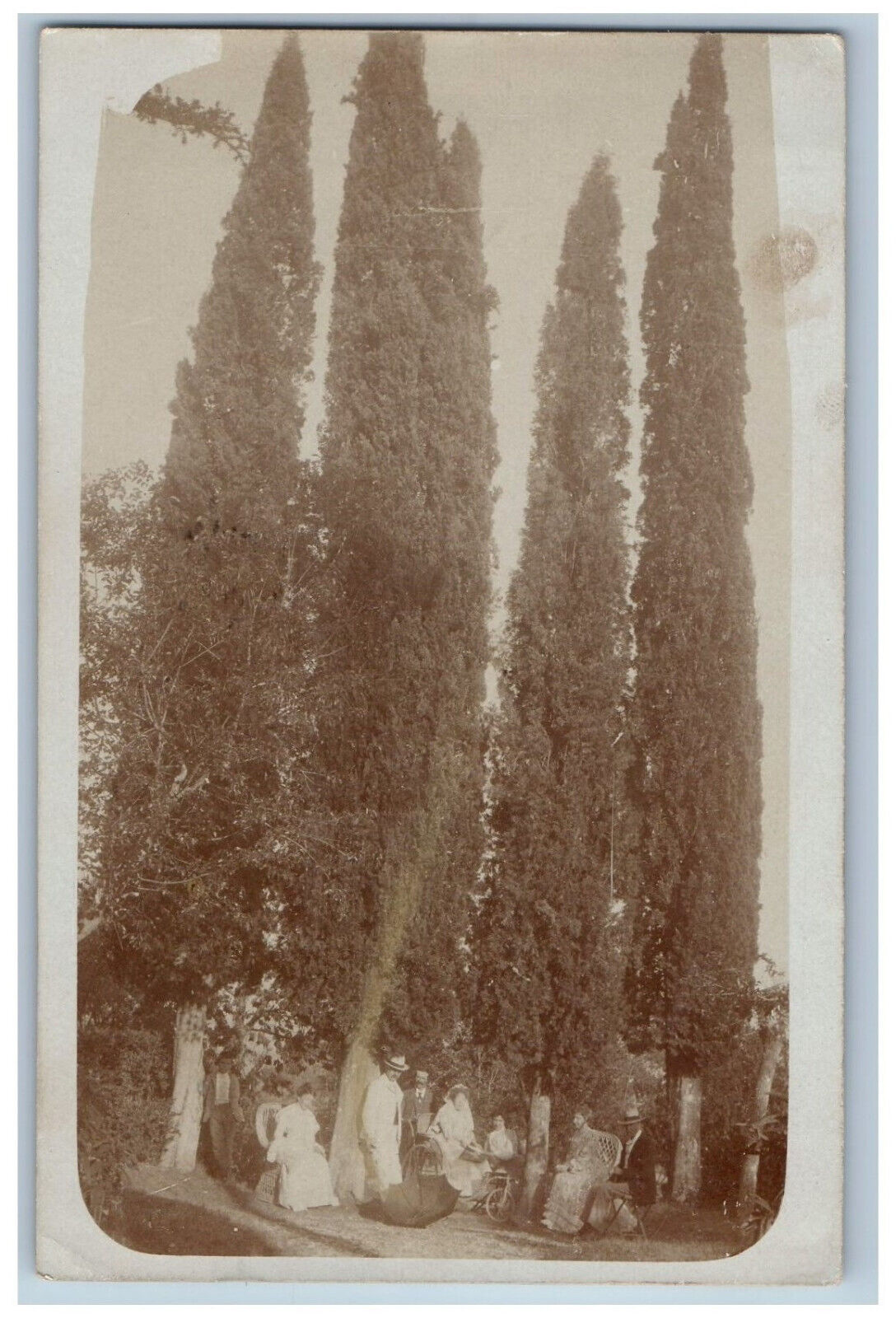Perugia Umbria Italy Postcard Tall Triangular Trees View 1908 RPPC Photo