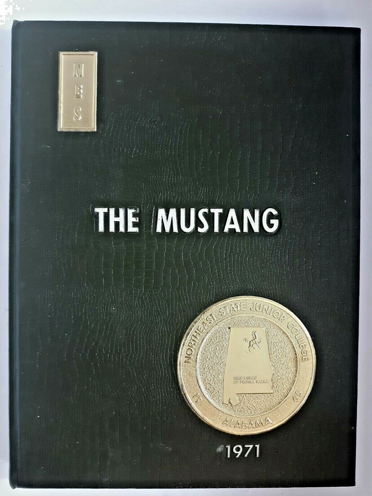 THE MUSTANG 1971 Northeast State Junior College  Alabama  vol-6 pre-owned annual