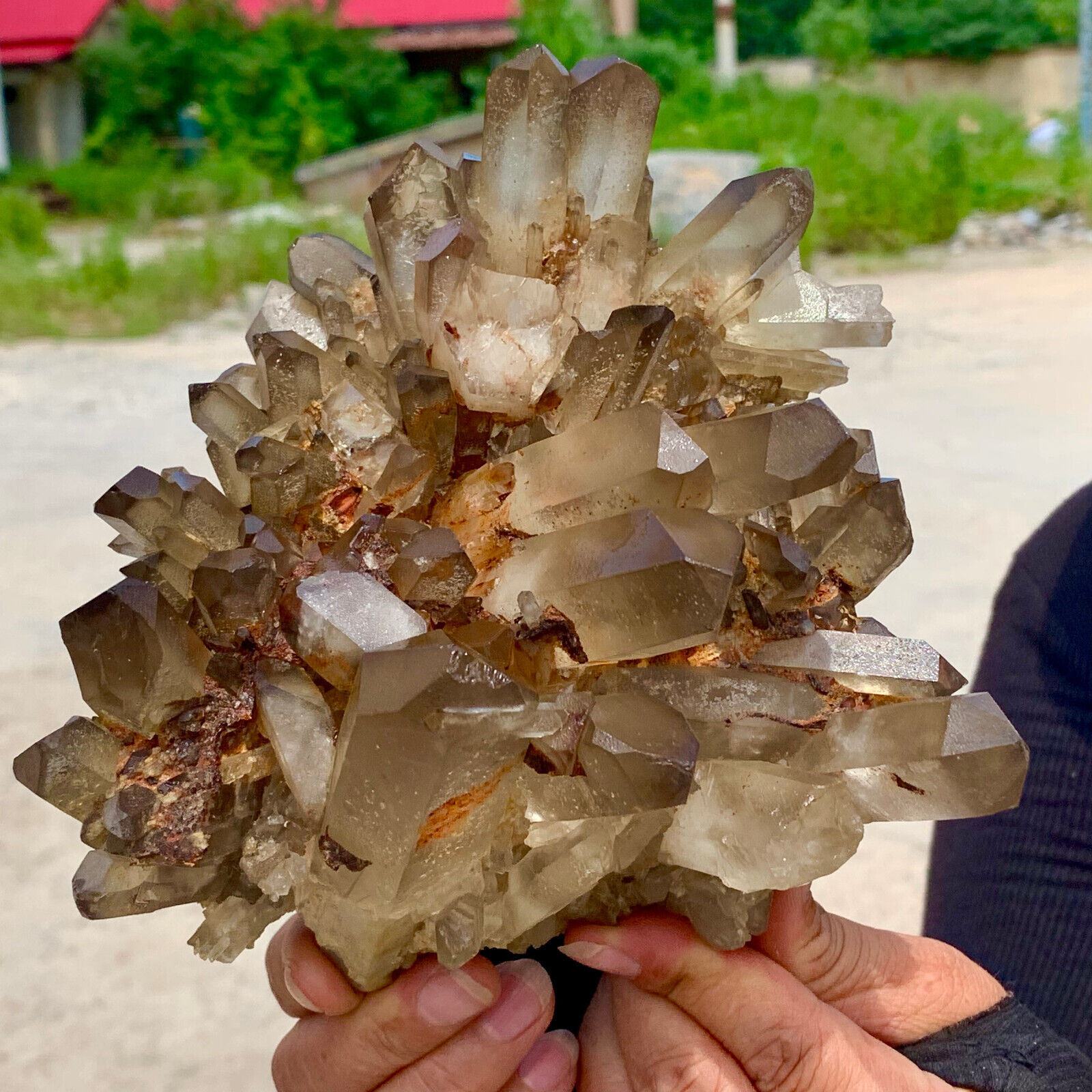 4.06LB  A+++Large Natural white Crystal Himalayan quartz cluster /mineralsls