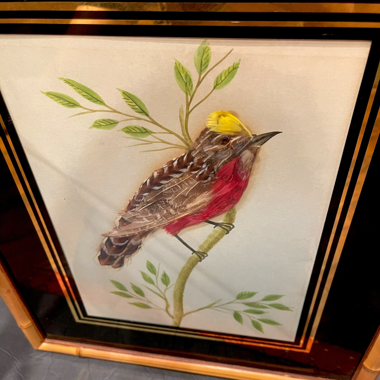 Vintage Real Nice Framed Red Yellow Bird Feather Art Picture 17” X 14” Frame
