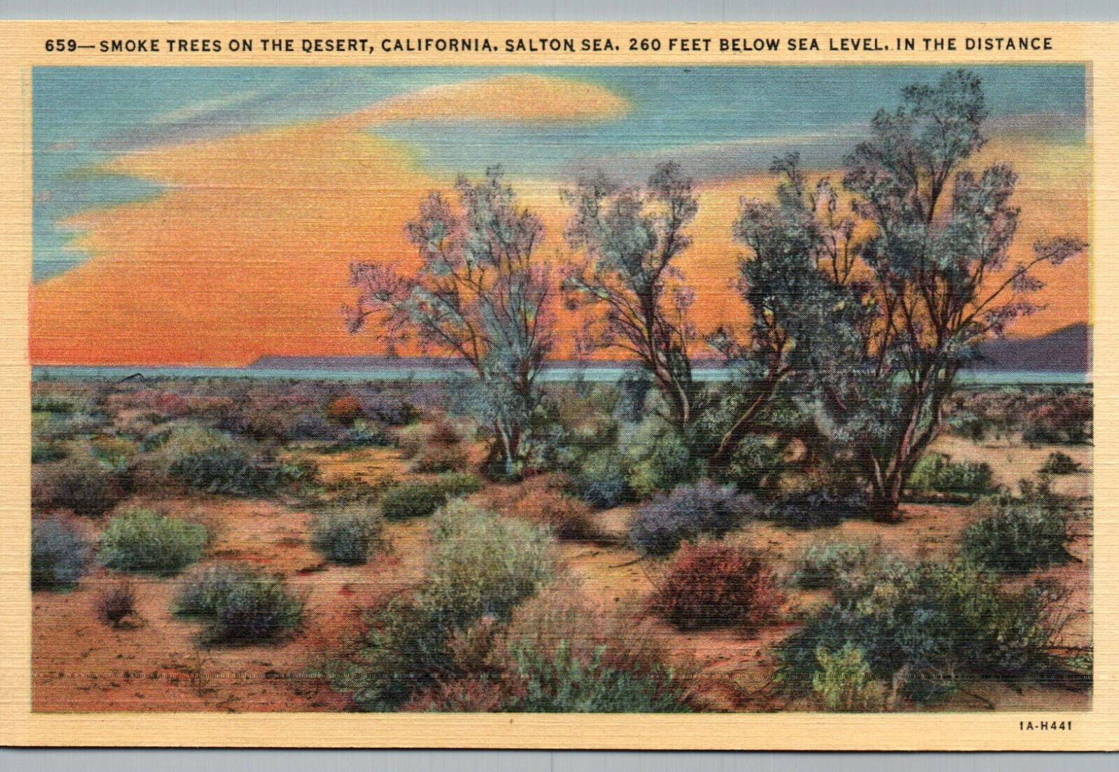 Postcard California Smoke Trees Desert Salton Sea CA Linen Sunset View Old